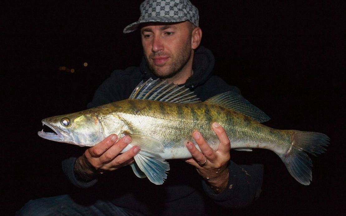 A stringer of freshwater fish displayed on the river bank